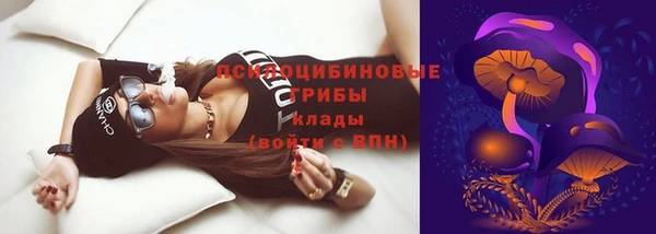 амф Богородицк